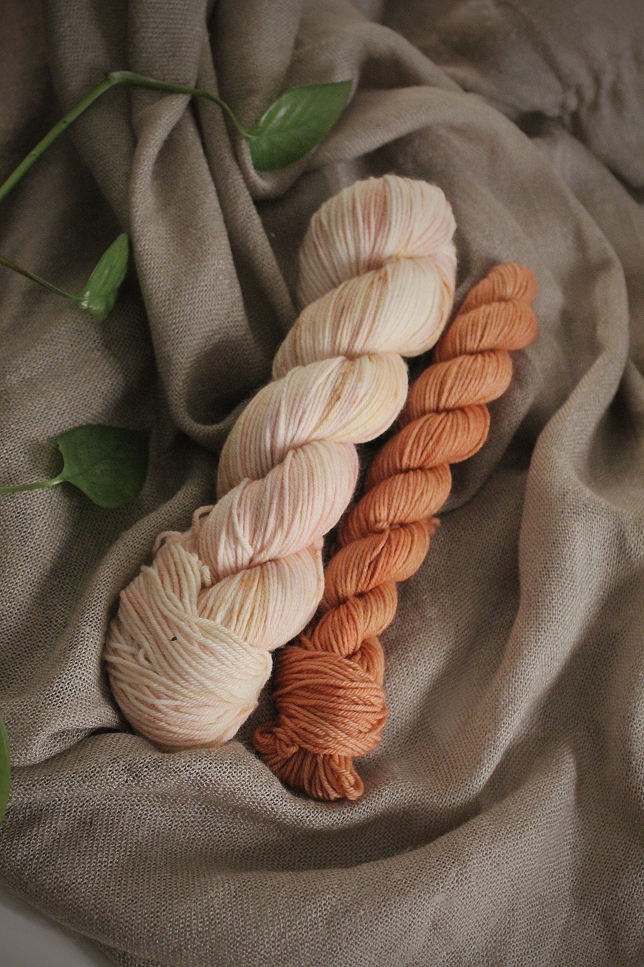 Deluxe sock set - no.1