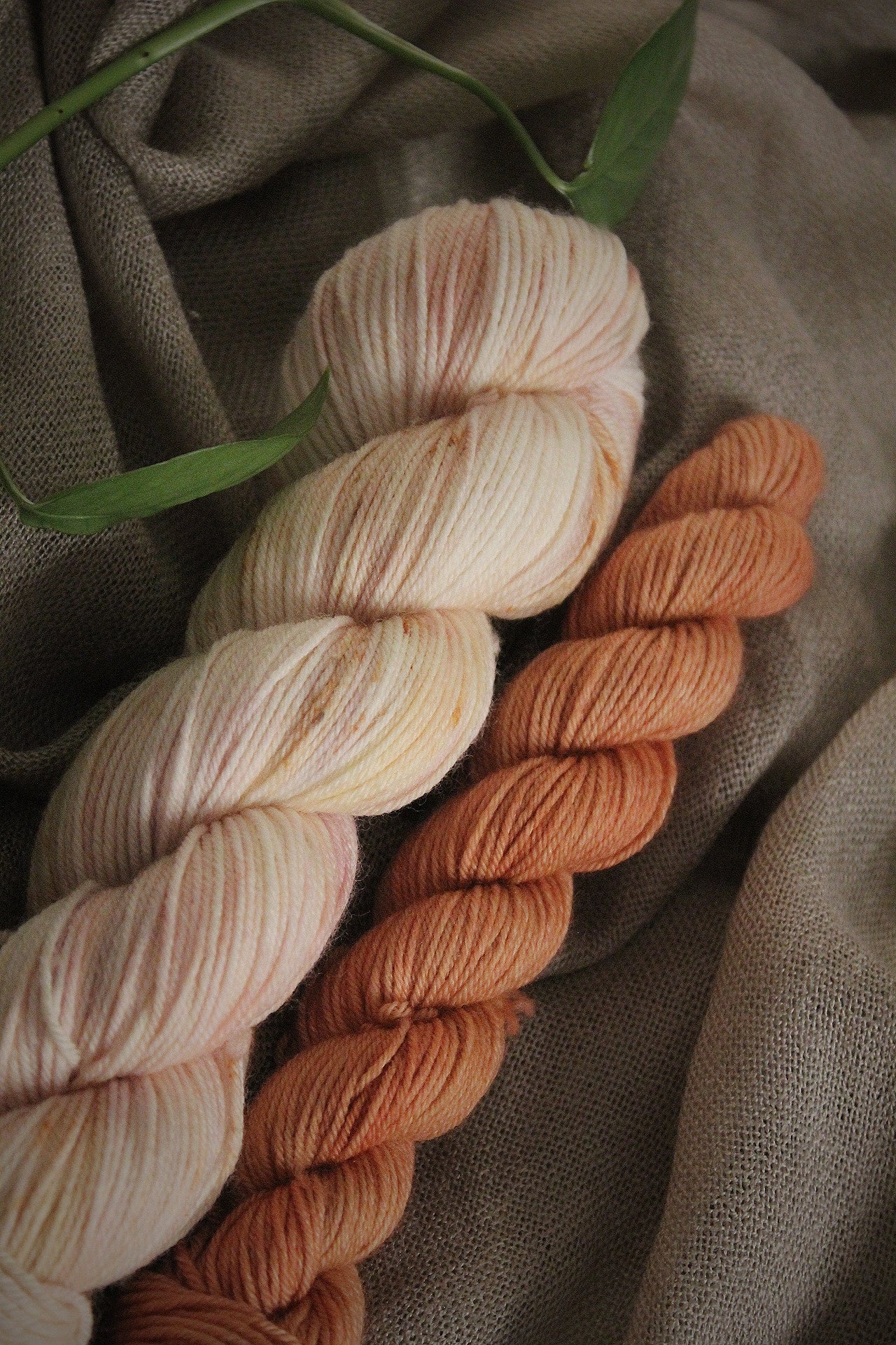 Deluxe sock set - no.1