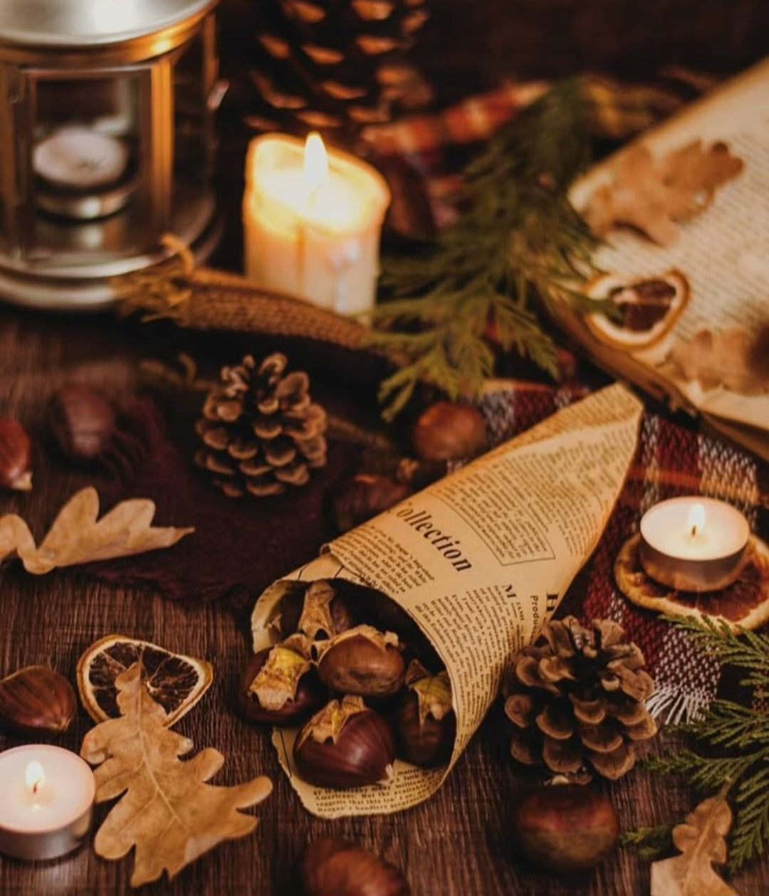 Minikalender 2025 - Cozy winter